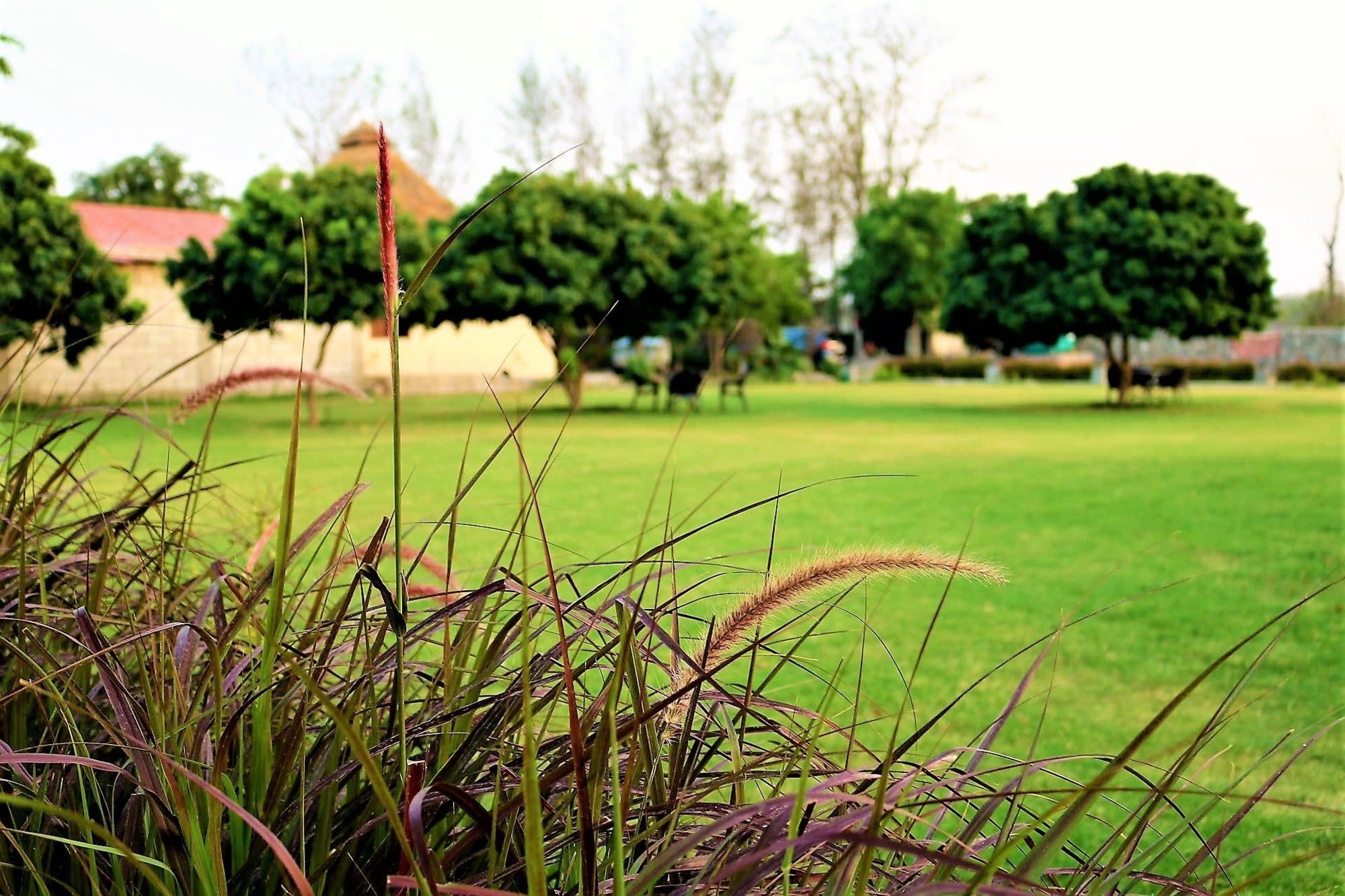 Palette Alaya Resort, Corbett Nainital Kültér fotó
